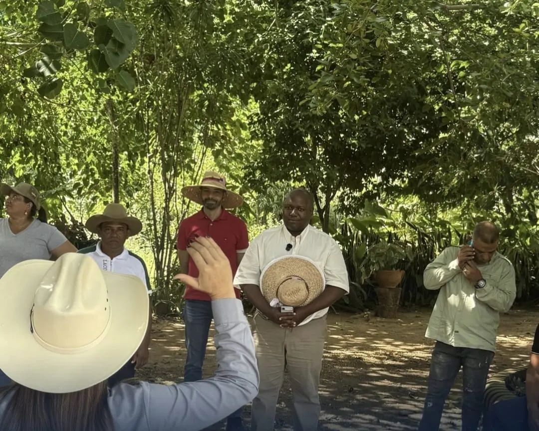 Los visitantes escuchan a una persona bajo los árboles de una finca.